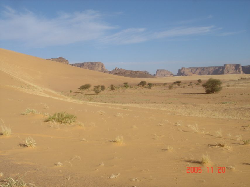 DSC05584.JPG