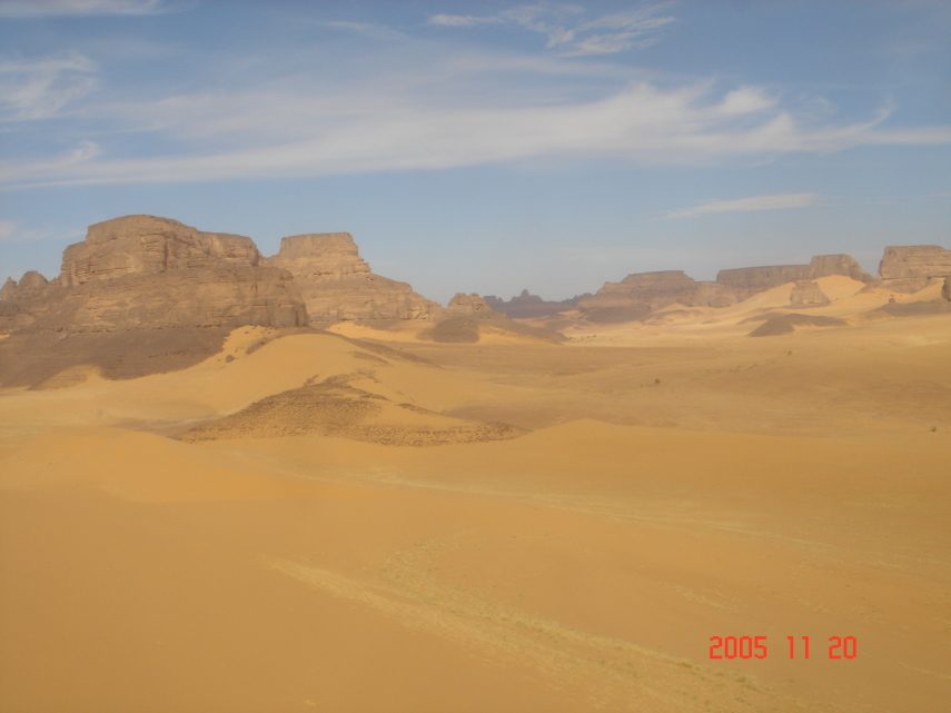 DSC05590.JPG
