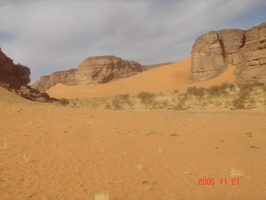 DSC05610.JPG