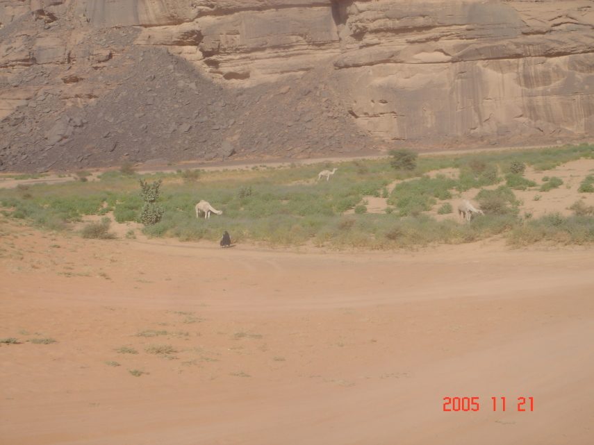 DSC05611.JPG