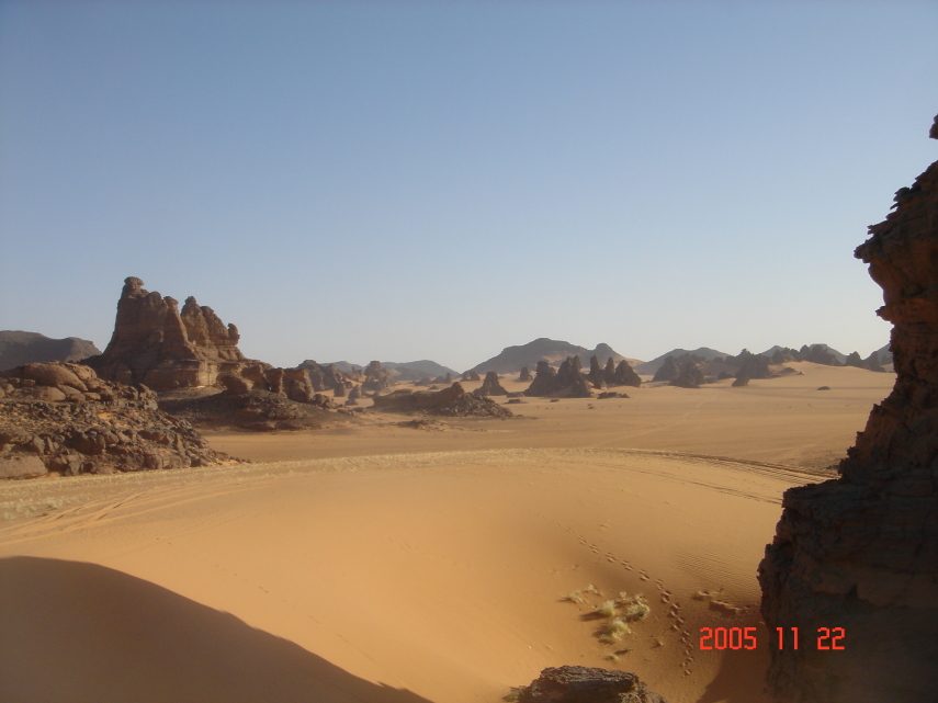DSC05635.JPG
