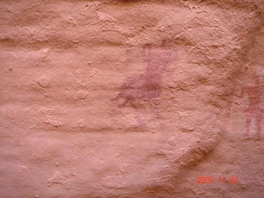 DSC05644.JPG