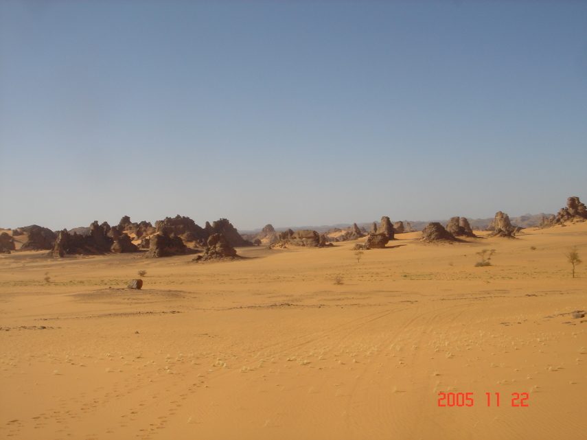 DSC05650.JPG