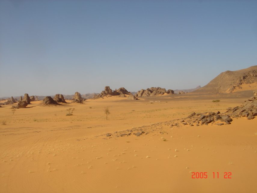 DSC05651.JPG