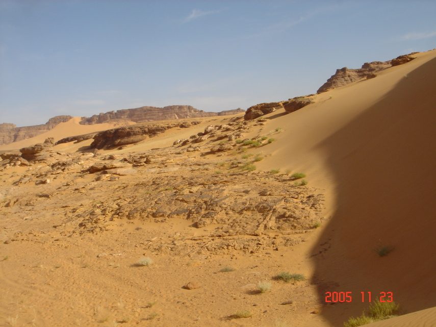 DSC05680.JPG