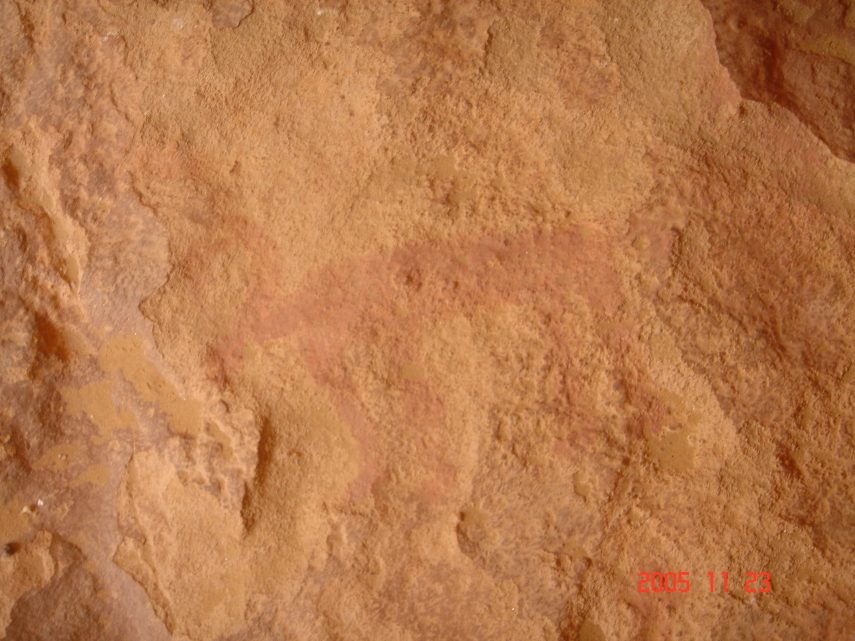 DSC05698.JPG