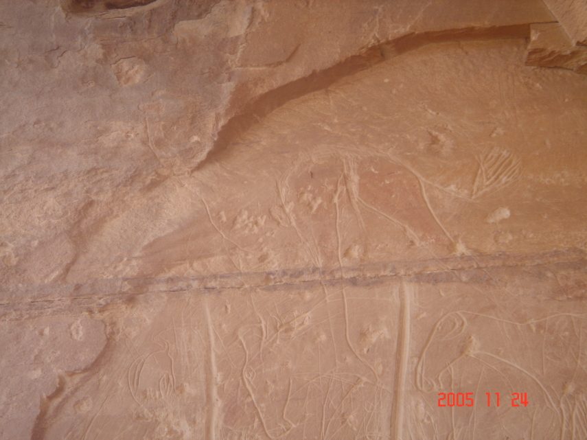 DSC05755.JPG